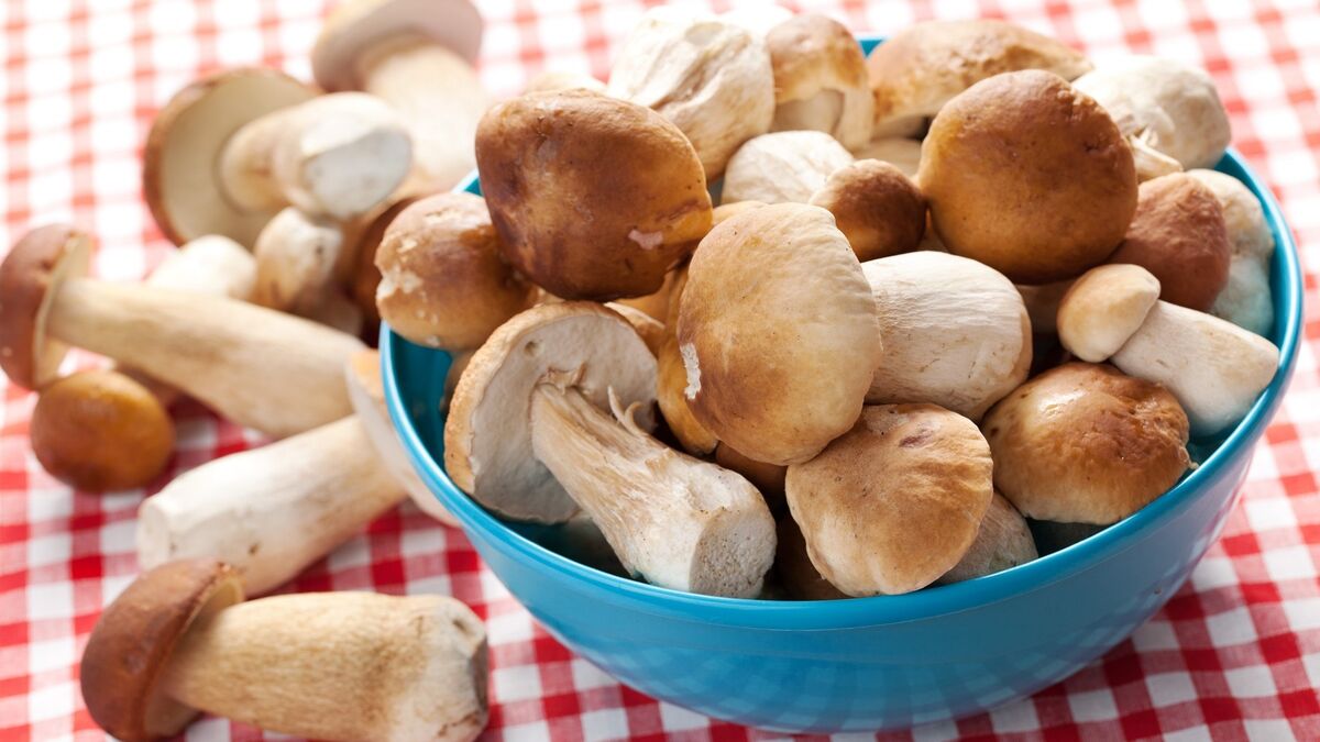 Гриб добавить. Грибы на сковороде. Гриб просянка. Грибы и лук мелко нарезаем. Грибы при варке.