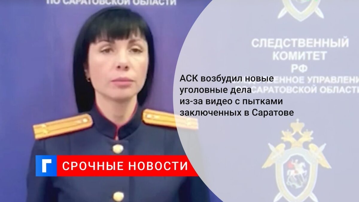 Уголовные дела лахденпохья бородинова. Подсудимый в суде. Клетка в суде. Игорь шамин самара. Уголовные дела лахденпохья бородинова.