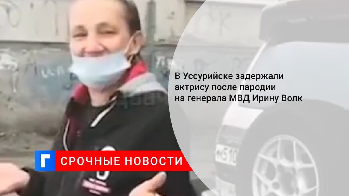 Пародия на ирину волк в тик токе