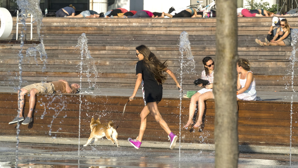 конец месяца выдался жарким. 5 июля евсеев день картинки. жаркое лето в подмосковье. жара в москве фото девушек. зверь с зонтом на остановке.