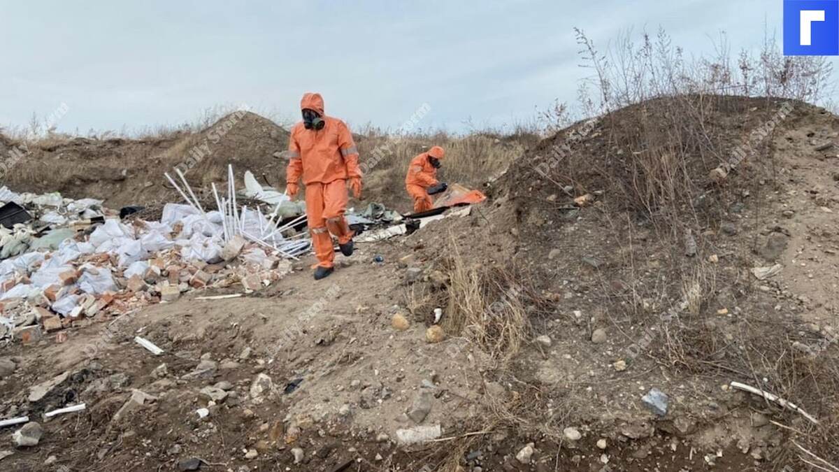 Проект свалка в красноярске