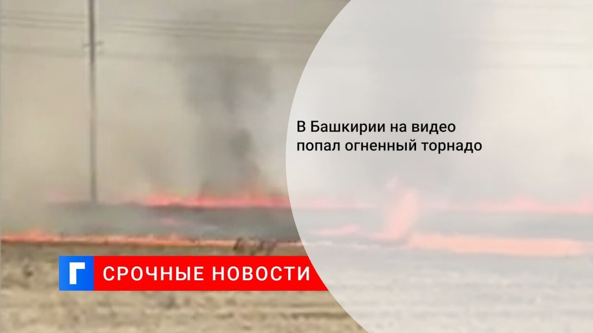 Магазин Торнадо В Санкт Петербурге Каталог Товаров