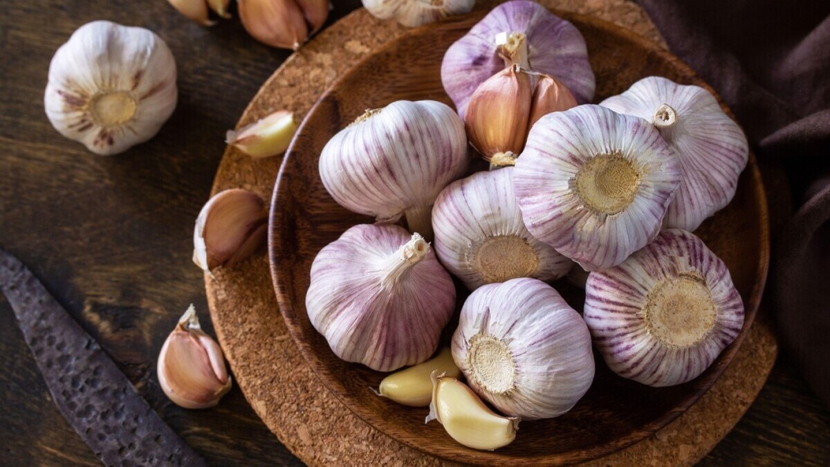 Озимый чеснок вымахает крупнее, чем у соседей: подкормите его в апреле ...