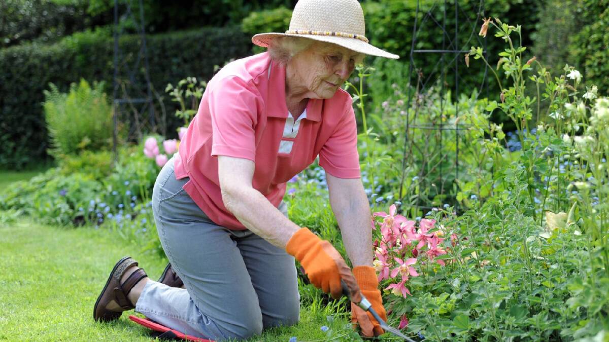 дачники в огородах летом. садовник. садовник мем. дачная фотосессия. садоводы и огородники.