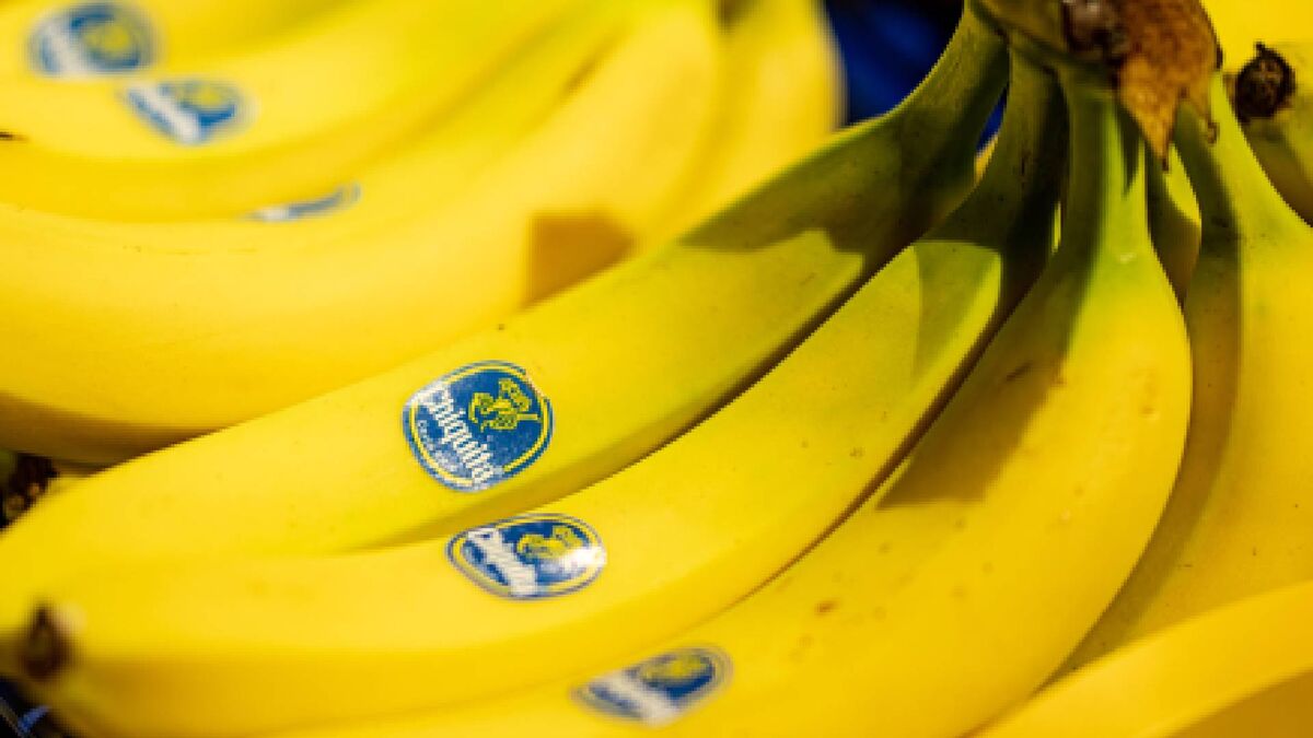 Какие бананы полезнее зеленые или. Какие бананы полезнее зеленые или желтые. Какого цвета бывают бананы. Банан каких странах.