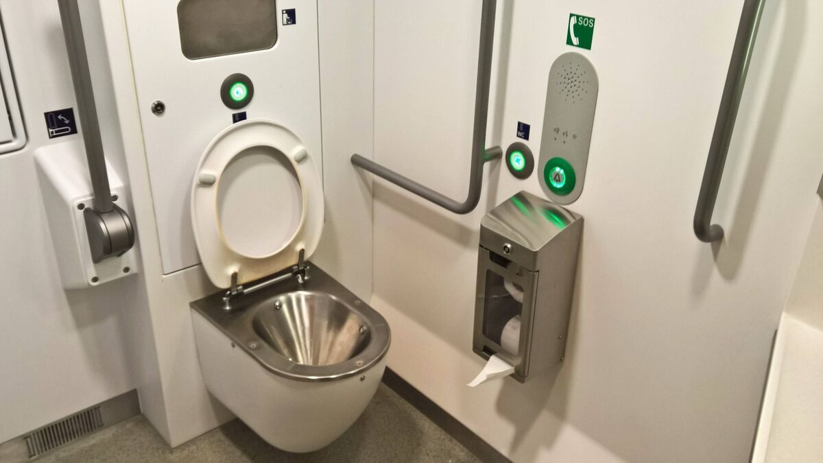 В пассажирских поездах ставят унитазы из металла не зря: дело не только ...