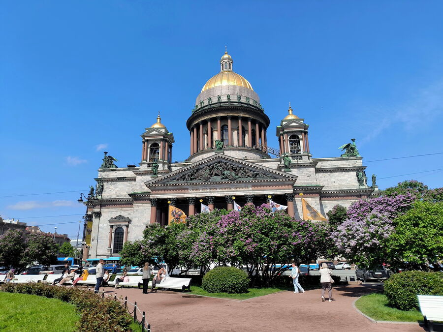 Мигрень в букете и яд для кота: что скрывает ароматная петербургская сирень