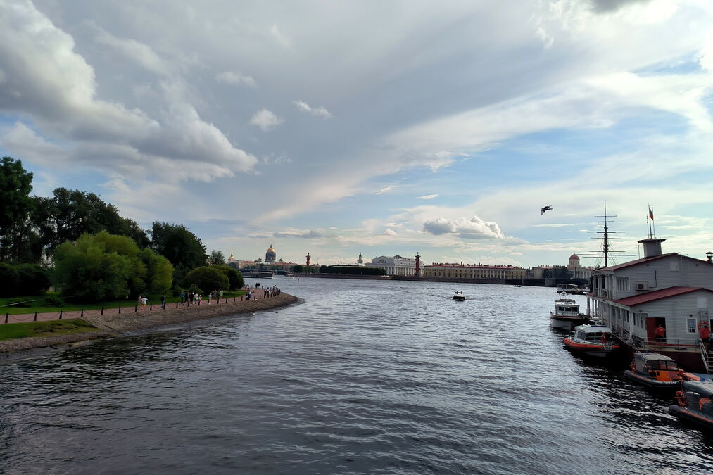 Под пятьдесят тысяч рыб «прописали» в водоёмах Петербурга