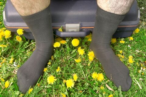 Мужчины весьма изобретательны 