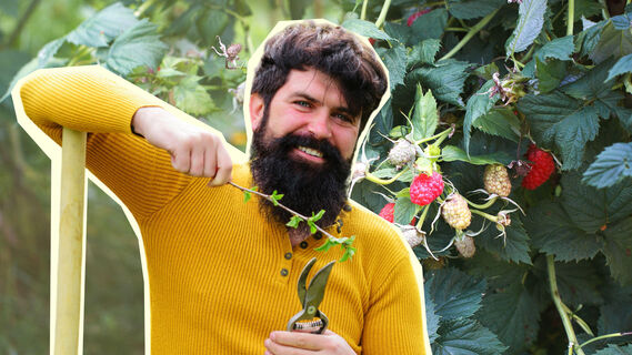 Как сделать грядку для малины