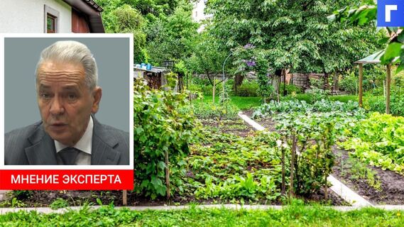 Российские дачники получат новую льготу