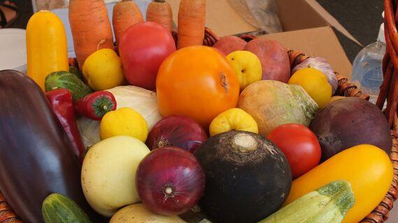 ГМО не опасно и есть во всех продуктах