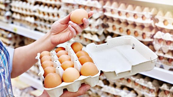 Чем отличаются белые яйца от коричневых, и как сохранить продукт свежим до года