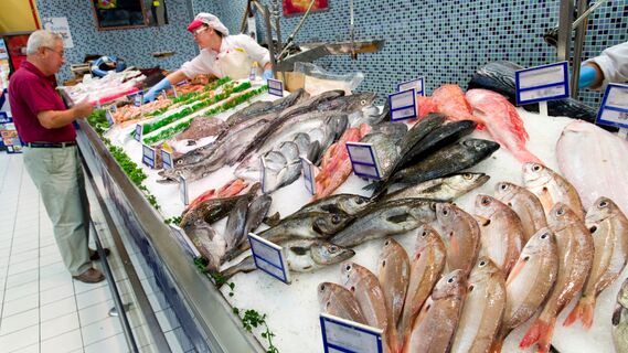 Врач назвала самую полезную рыбу для россиян