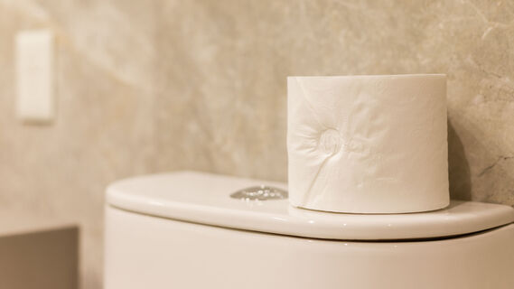Разрежьте рулон туалетной бумаги: удивитесь, как он поможет в хозяйстве 