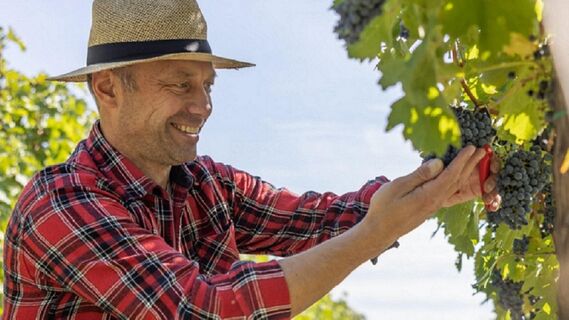 Готовьтесь собирать щедрый урожай