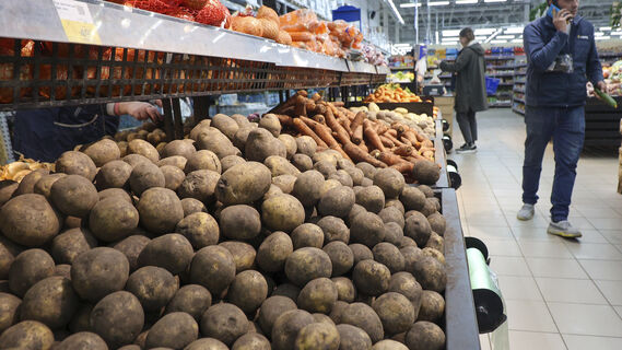 Картофель подорожал, а огурцы — подешевели. Что происходит с ценами на продукты в Петербурге?