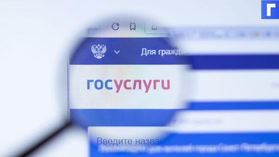 Россиянам будут автоматически начислять соцвыплаты через Госуслуги