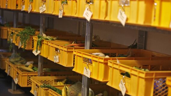 Подвал к зиме и хранению продуктов нужно хорошо подготовить