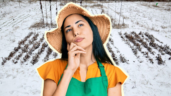 Как защитить грядки в период оттепели