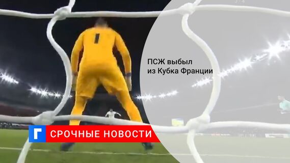 ПСЖ выбыл из Кубка Франции 