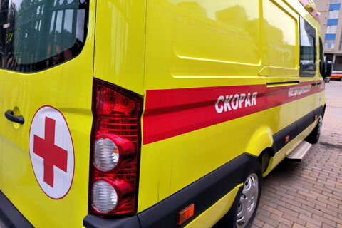Петербуржец оказался на грани жизни и смерти из-за ожогов борщевика