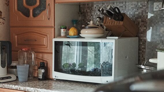 Как вернуть белизну микроволновке