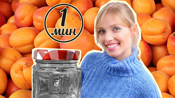 Секретный способ удаления косточки из абрикоса 