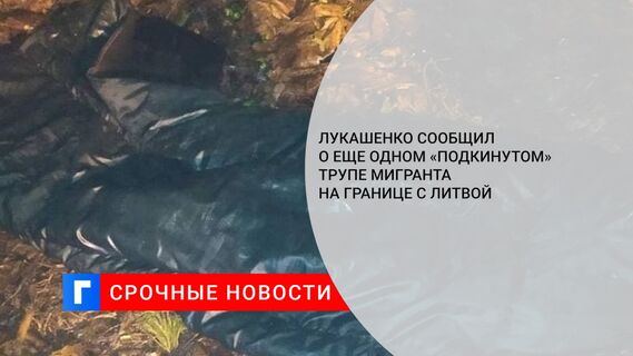 Лукашенко сообщил о еще одном «подкинутом» трупе мигранта на границе с Литвой 