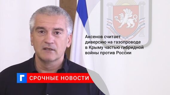 Аксенов считает диверсию на газопроводе в Крыму частью гибридной войны против России