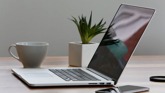 Ограниченное количество вариантов экзамена TOEFL станет доступно россиянам с 4 августа