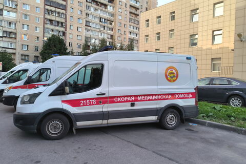 Петербуржец скончался после укуса прохожего: рана на пальце оказалась смертельной