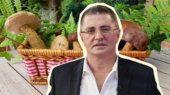 Чем пользы и чем вредны лесные грибы