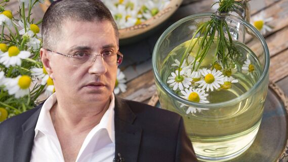 Александр Мясников заявил о вреде чая с ромашкой