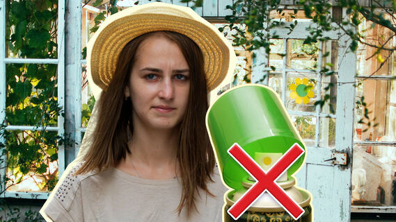 Как устранить запах сырой древесины в доме