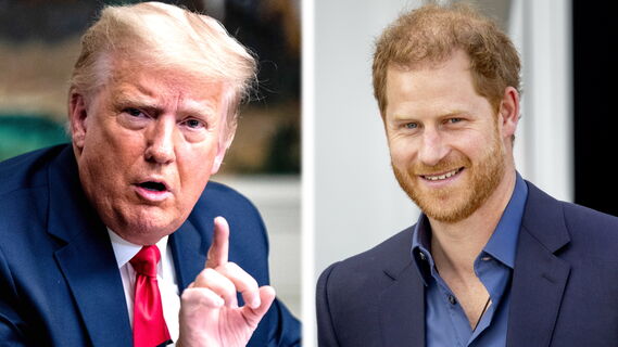 Дональд Трамп и принц Гарри