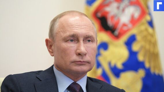 Путин поддержал участие волонтеров в политике 