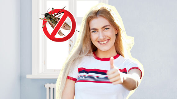 Не стоит менять москитную сетку, если в ней появились дырки