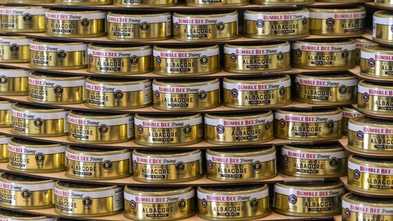 Популярные магазины продавали консервы с личинками червей: обратите внимание на список