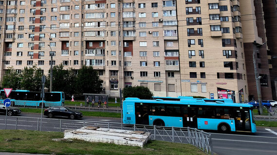 Не поделили место: в Петербурге таксист чуть не задушил водителя автобуса