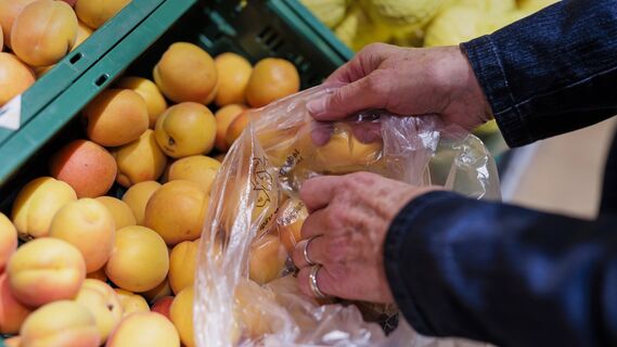 Вот как выбрать спелые и сочные абрикосы