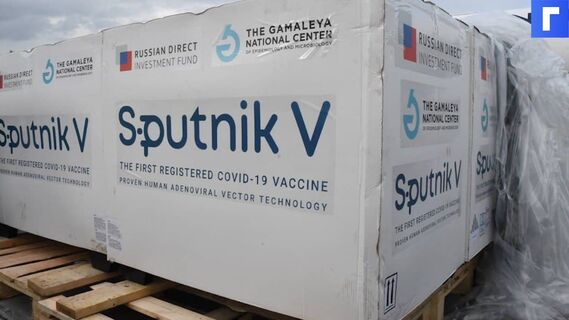 США пытались отговорить Бразилию от покупки вакцины «Спутник V»