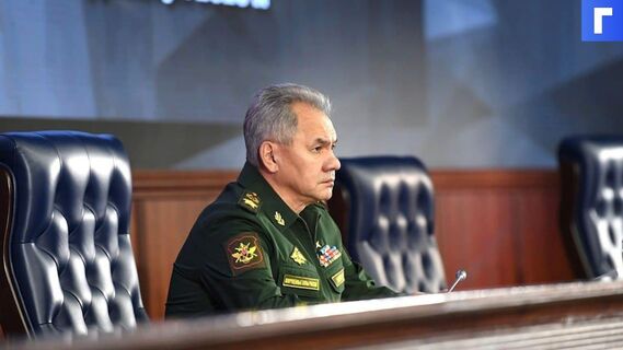 Шойгу наградил спортсменов премией «Армеец года»