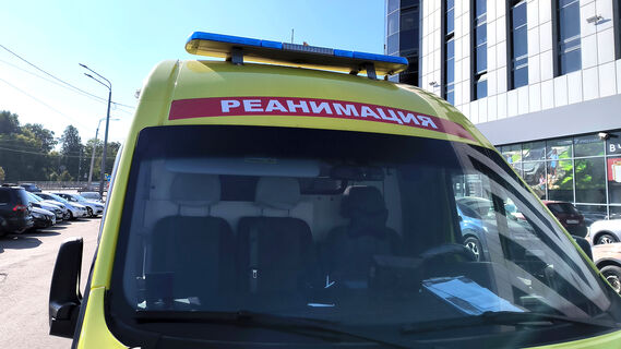 Выпили «целебный» отвар и оказались в реанимации: в Ленобласти врачи борются за жизнь четверых строителей