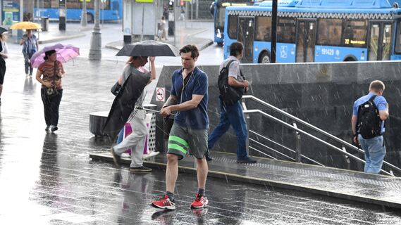 МЧС предупреждает жителей Москвы о шквалистом ветре и ливне