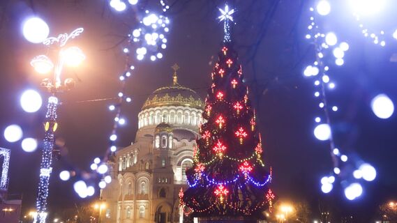 Сказочный Петергоф, волшебный «Зенит»: 5 новогодний экскурсий, после которых полюбите Петербург