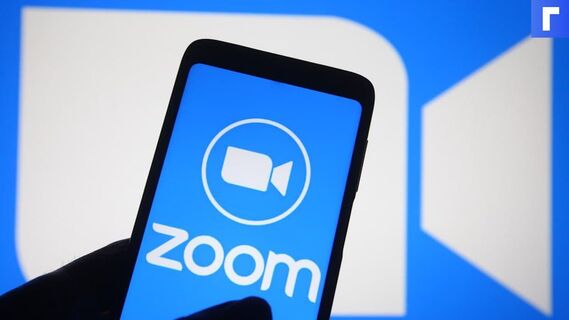 Глава Минпросвещения: ограничение доступа к Zoom не отразится на работе школ