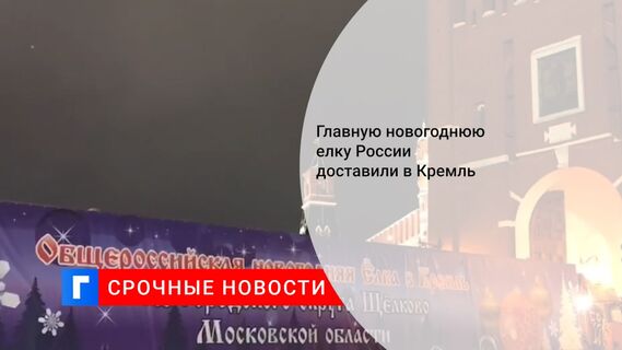 Главную новогоднюю елку России доставили в Кремль