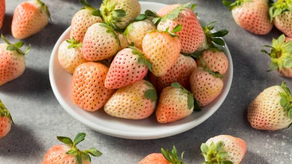 Вкуснее всего в свежем виде