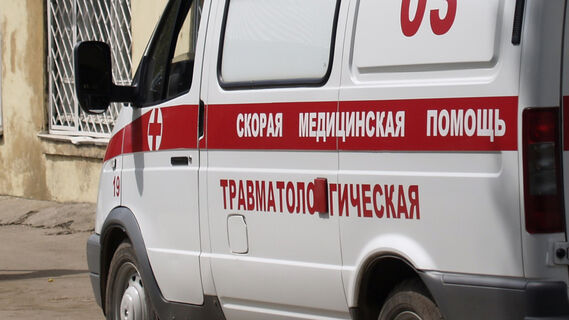 «Бежит весь в крови»: в новостройке Петербурга на голову ребенка обрушился потолок